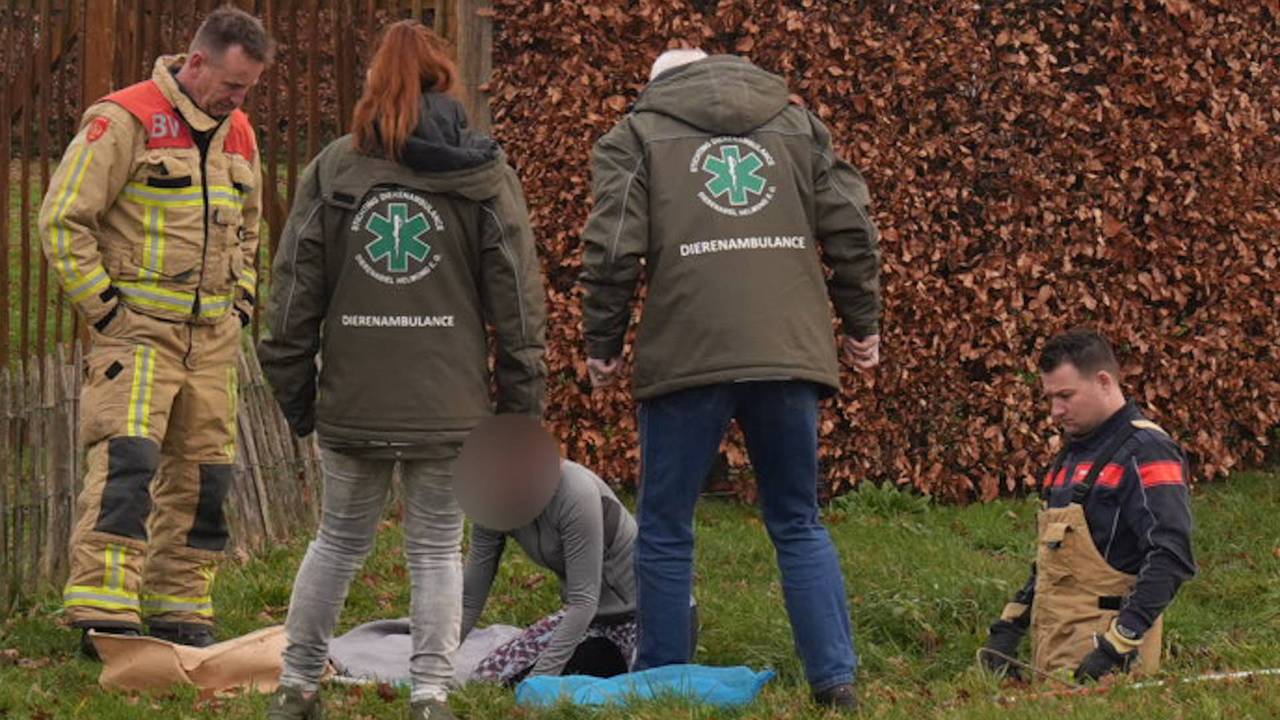 De brandweer moest te hulp schieten (foto: Harrie Grijseels / Persbureau Heitink).