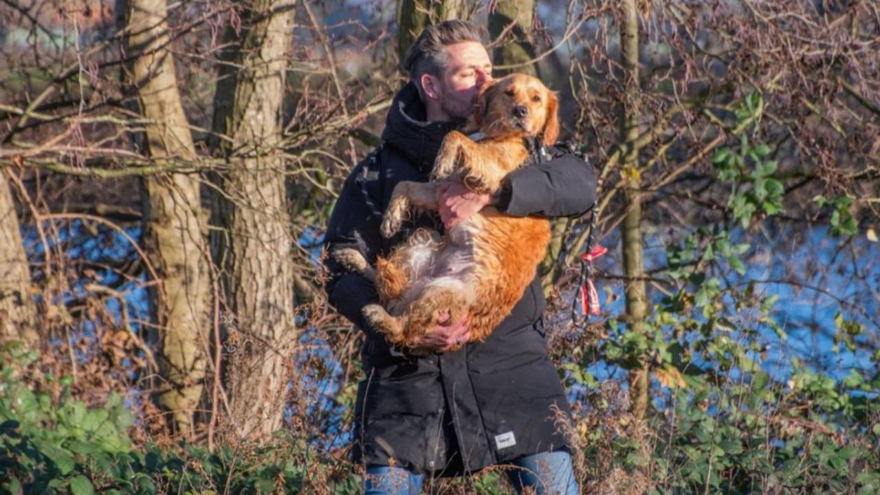 De hond is weer in veilige handen na het ongeluk (foto: Justin Egberts/Egberts Media).
