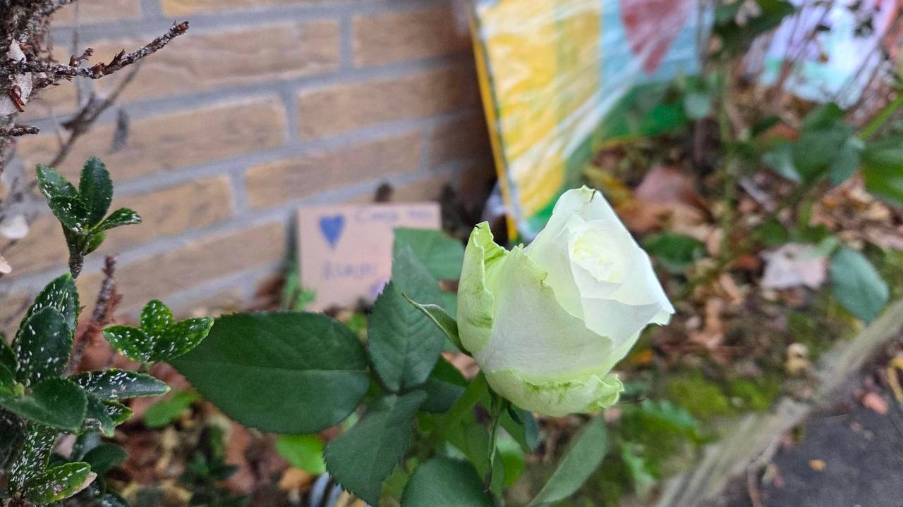 Op de plaats van het ongeluk zijn bloemen neergelegd (foto: Omroep Brabant).