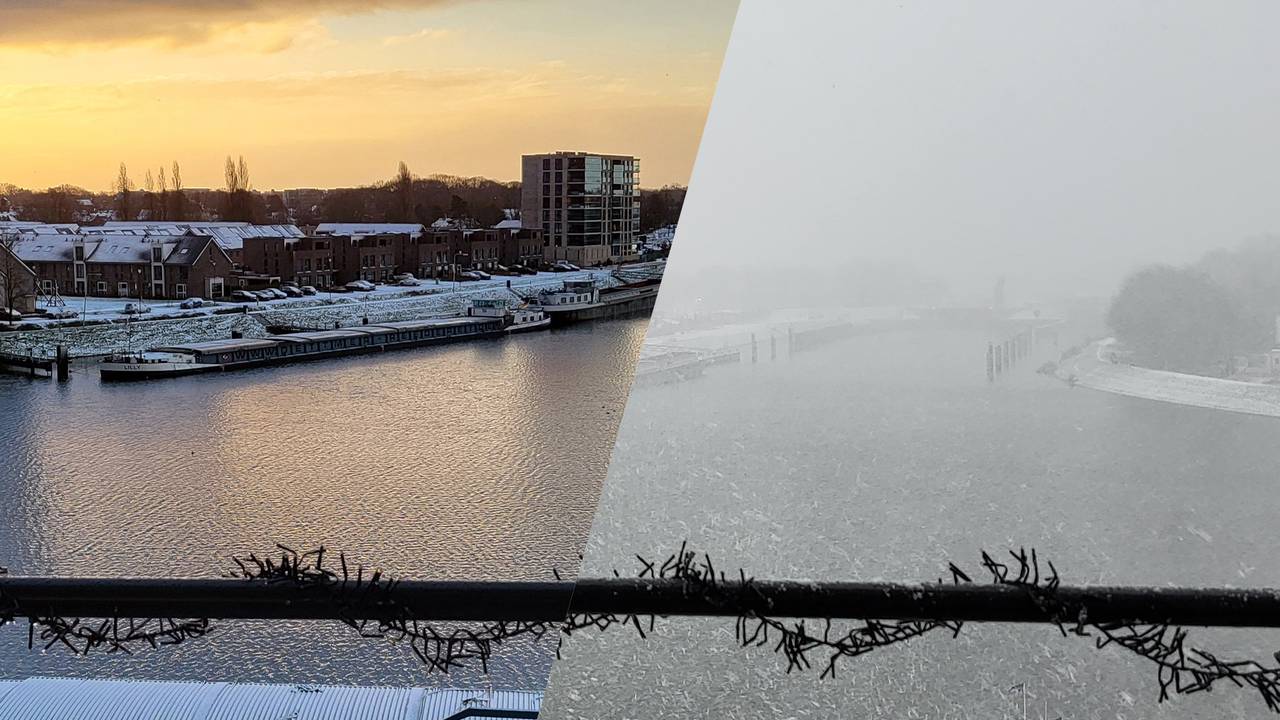 Foto's: Miranda de Jongh