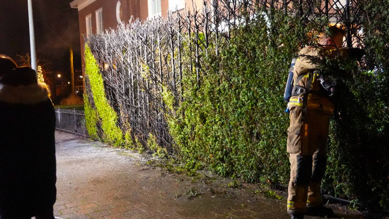 Coniferen in brand (Harrie Grijseels / Persbureau Heitink)