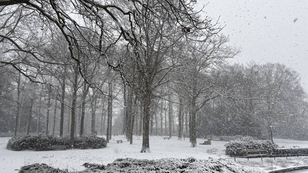 Een besneeuwd Stadswandelpark in Eindhoven (foto: Hans Janssen).