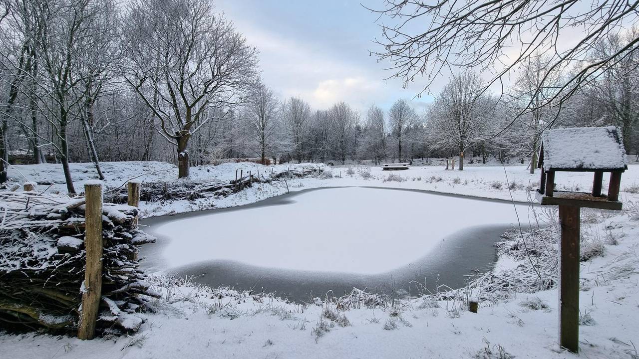 Wintersfeer bij de Kandoeltuin  in Dongen (foto: Nelleke Kuijten).