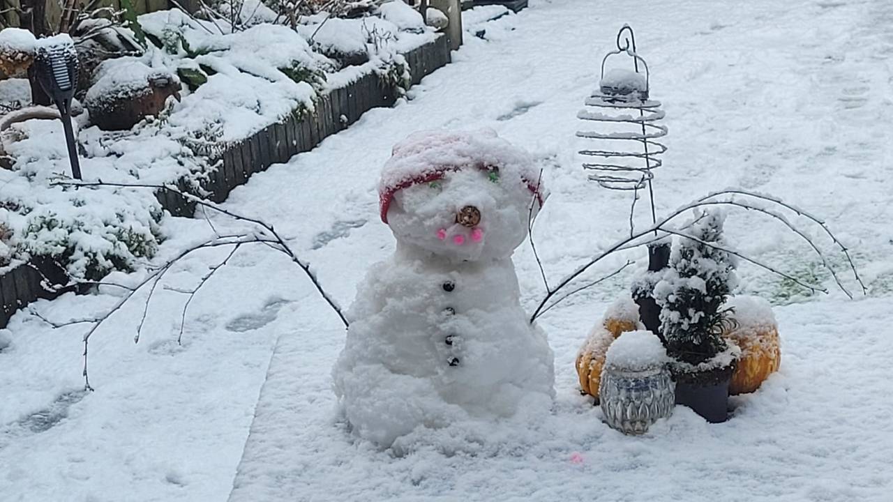 Marian van den Boogaard