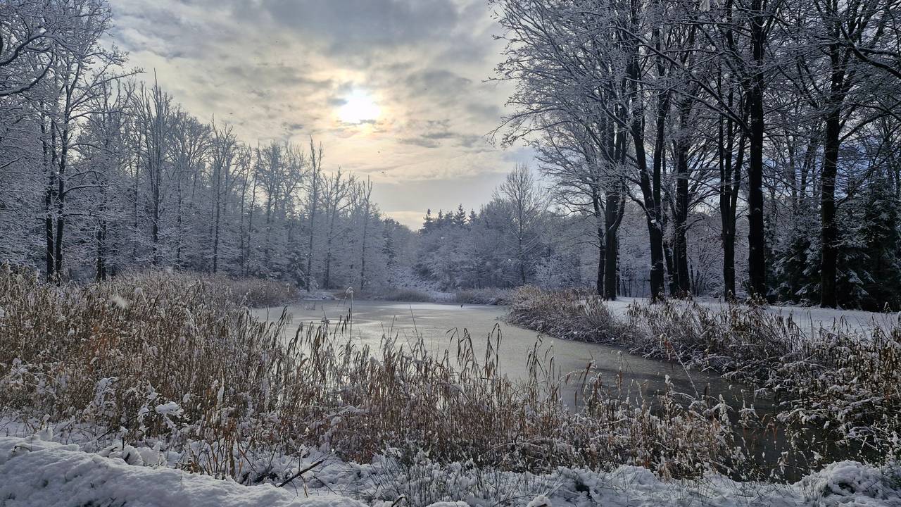 Sneeuw op Landgoed Wielewaal (foto: Bente Vroomans).