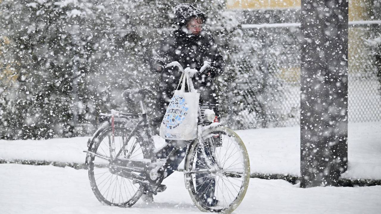 Foto: Erald van der Aa