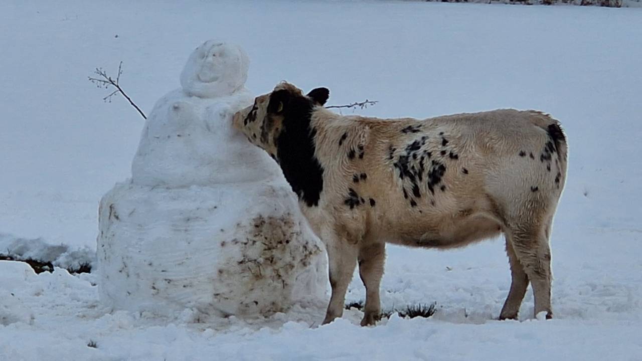 Foto: Richard van Rooij