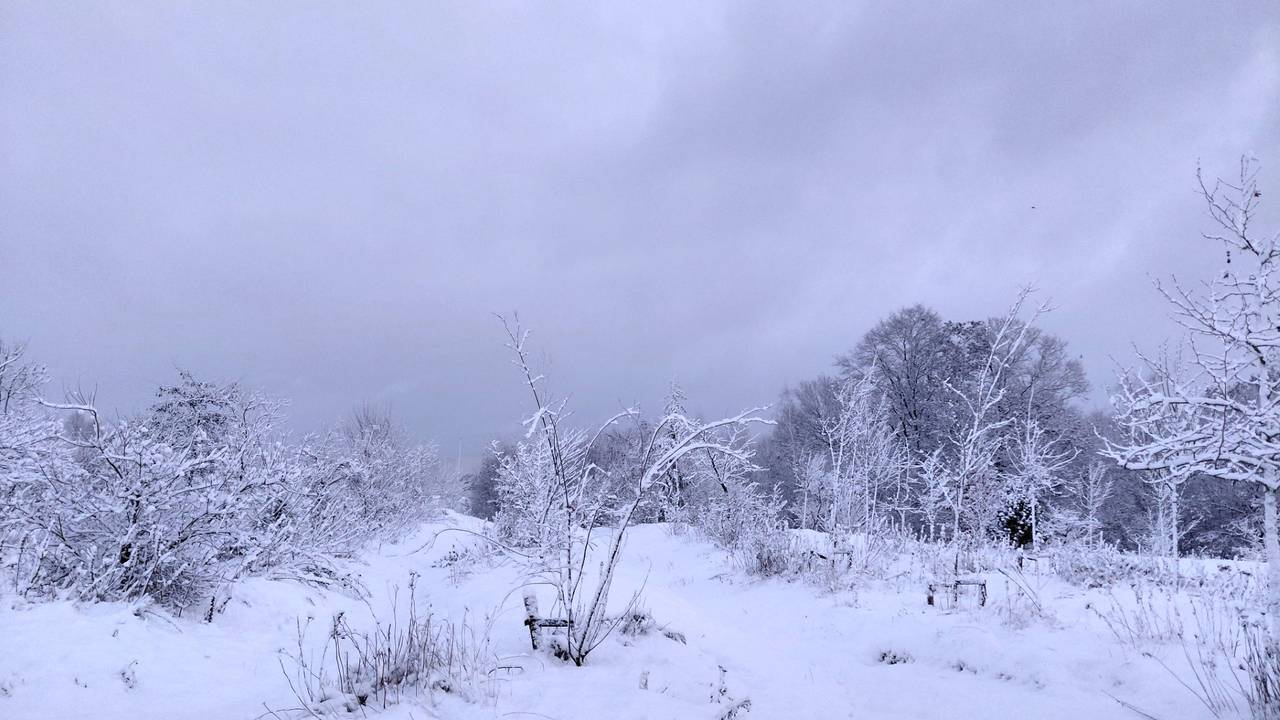 Prachtig landschap in Eindhoven (foto: Henry van der Sanden).