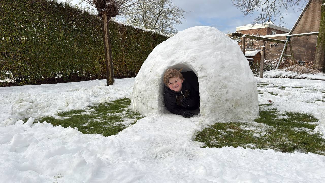 Je eigen iglo in de achtertuin (foto: Rik Holierhoek/Dongen).