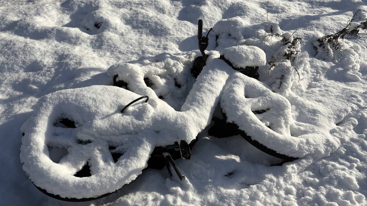 Achtergelaten leenfiets, bijna verdwenen (foto: Hans Janssen).