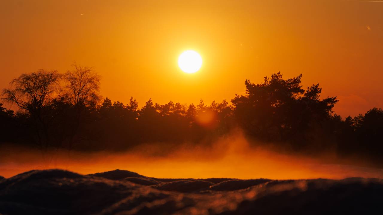 Een prachtige zonsondergang op de Oirschotse Heide (foto: Ruben de Hair).