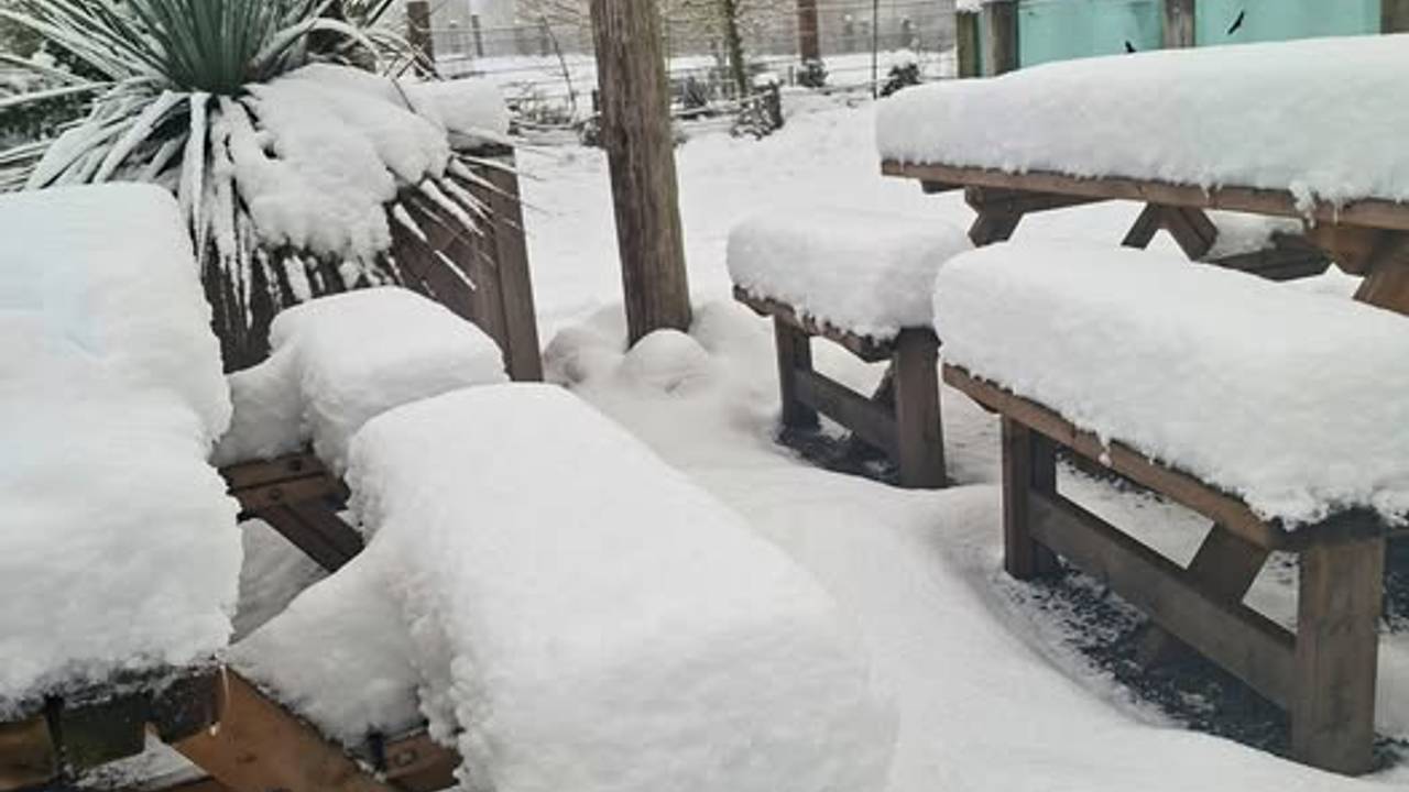 Dierenpark Zie-ZOO blijft dicht.