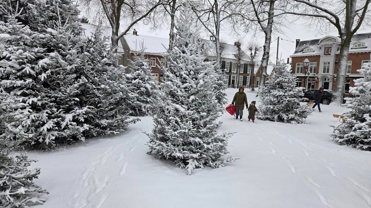 Sneeuw op Vrijthof in Hilvarenbeek (foto: Omroep Brabant). 