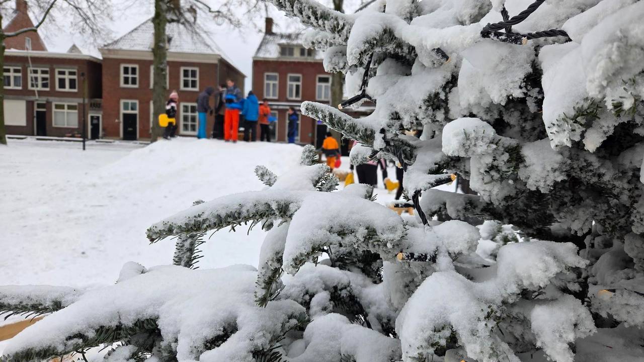 Sneeuwpret in Hilvarenbeek (foto: Omroep Brabant). 