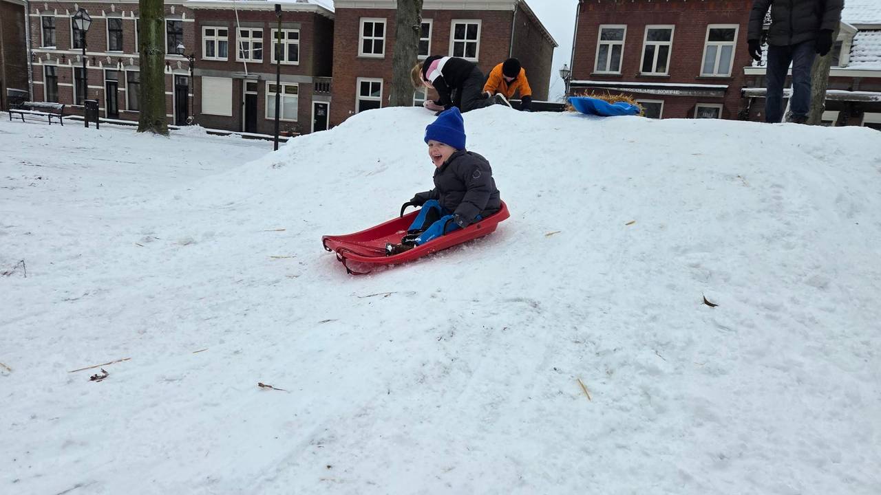Op de slee in Hilvarenbeek (foto: Omroep Brabant). 