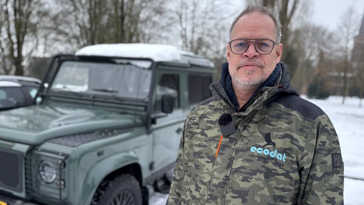 Bomen en kleine vogels lijden onder strooizout in bermen