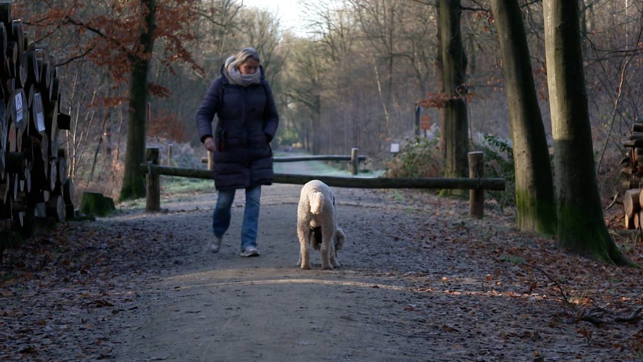 Natuur wint het van viervoeters, honden verboden in bos bij Breda