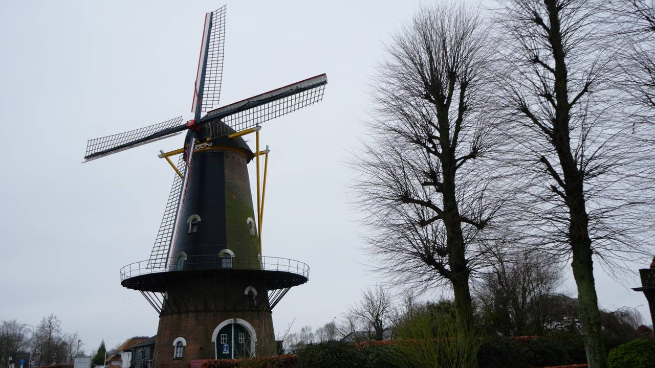 De molen in Oisterwijk (foto: Toon Boons).