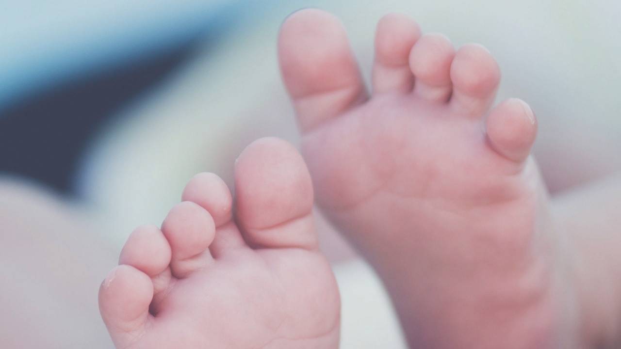 Foto: Omroep Brabant