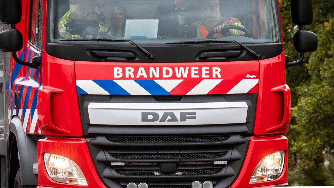 Foto: Omroep Brabant