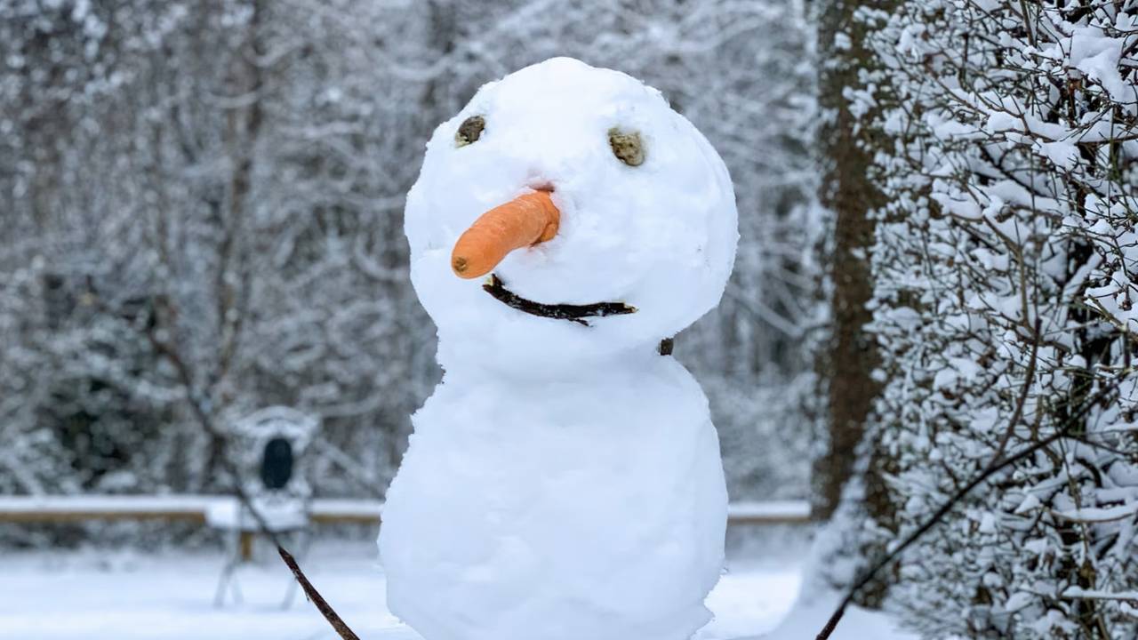 Foto: Omroep Brabant