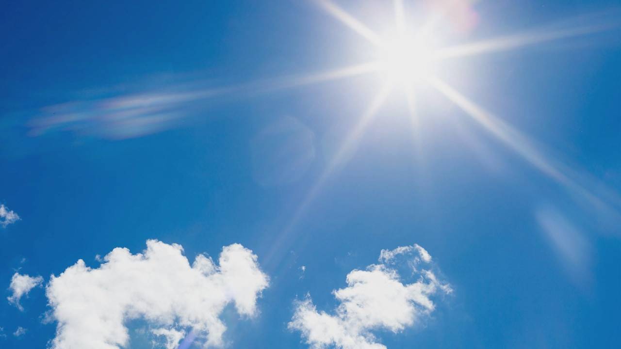 Foto: Omroep Brabant