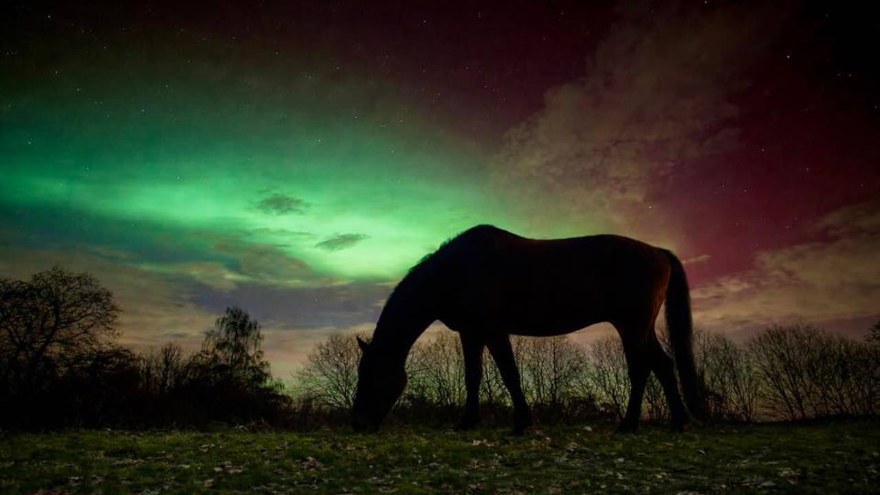 Een foto het noorderlicht van Diana Hoof uit Baarle Nassau