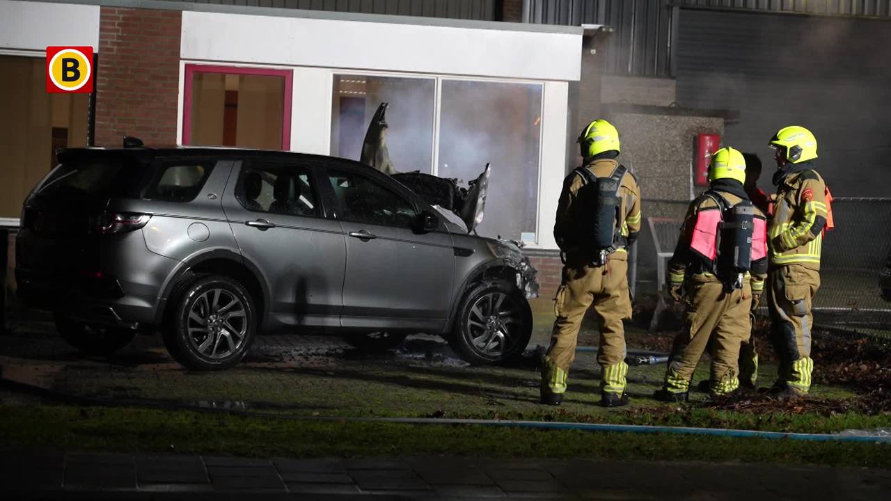 WEB_112_AUTOBRAND_GILZE