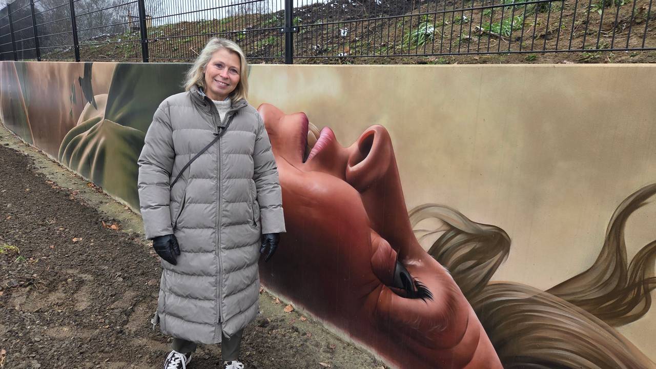 Marie-José Schoenmakers is vereeuwigd op een muurschildering van 240 meter (foto: Noël van Hooft).