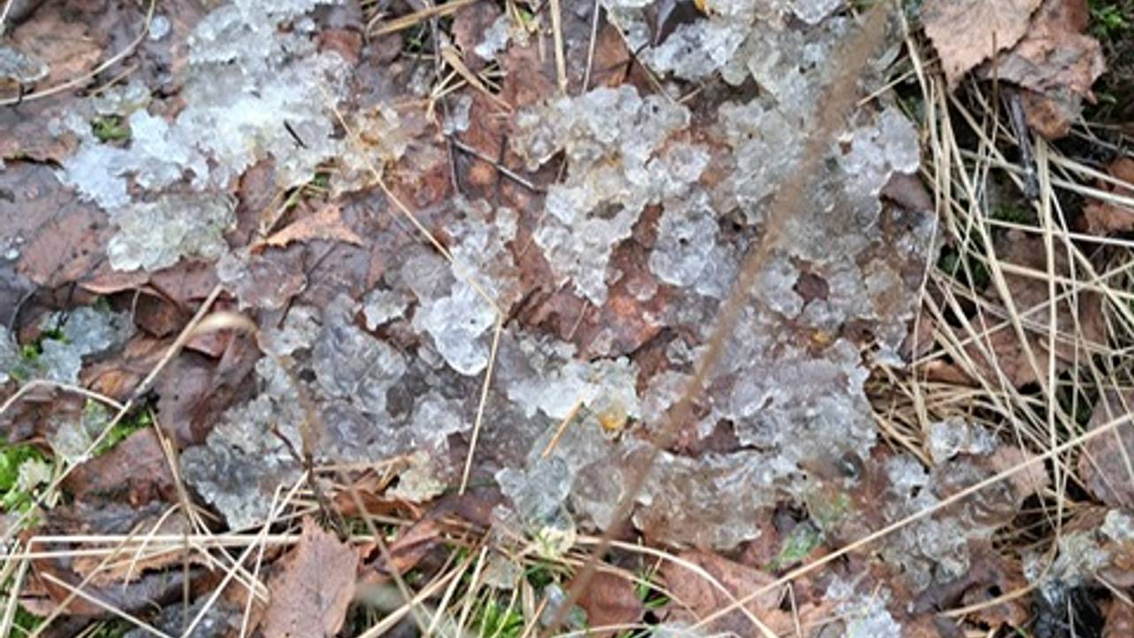 Sterrenschot (foto: Jacqueline van Boven).