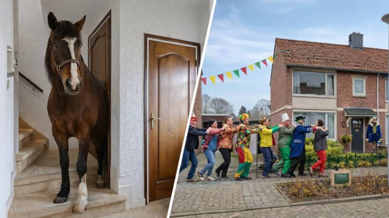 Het paard in de gang en de polonaise voor de deur (foto's: Metselaars Makelaardij).