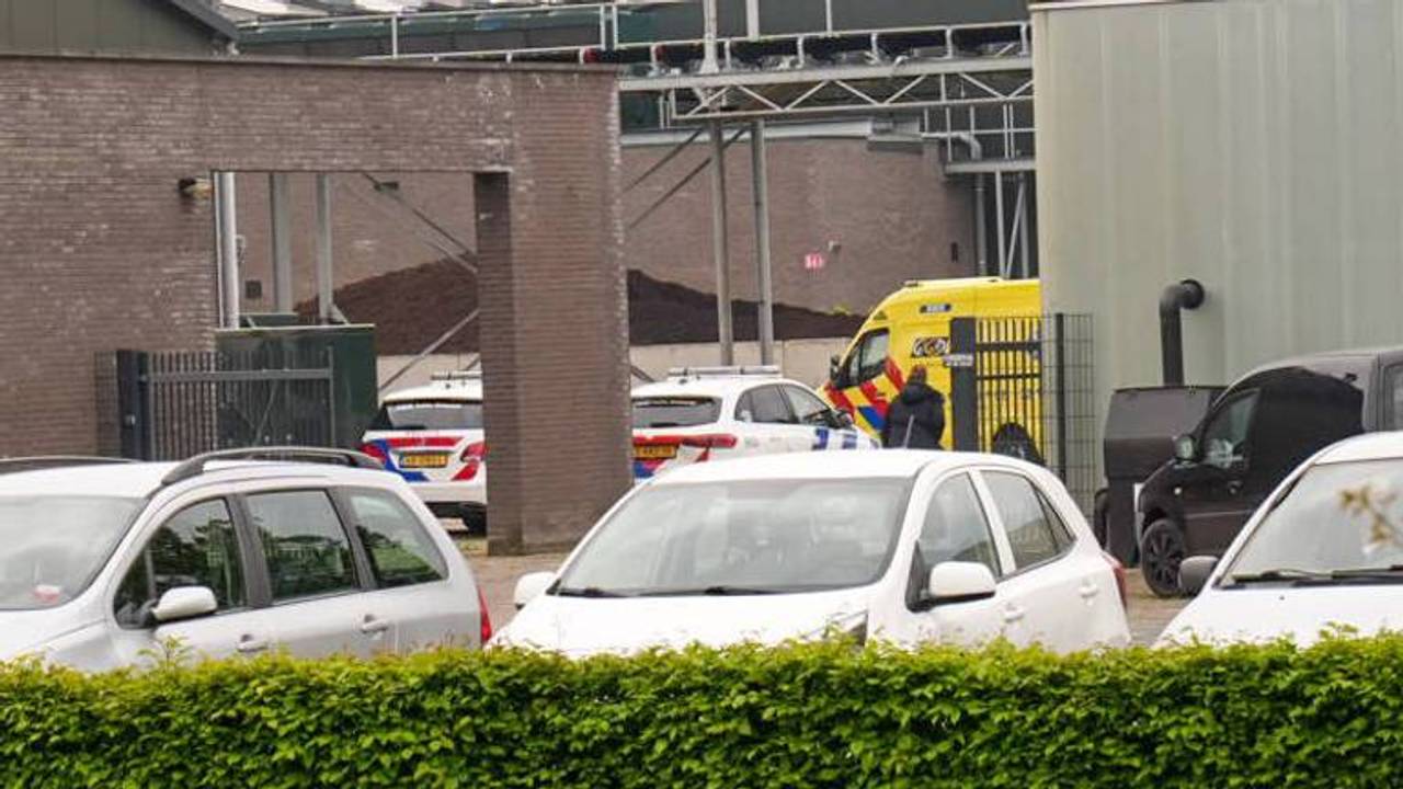 De Gemertse championkwekerij waar het dodelijke bedrijfsongeluk plaatsvond (foto:Persbureau Heitink)