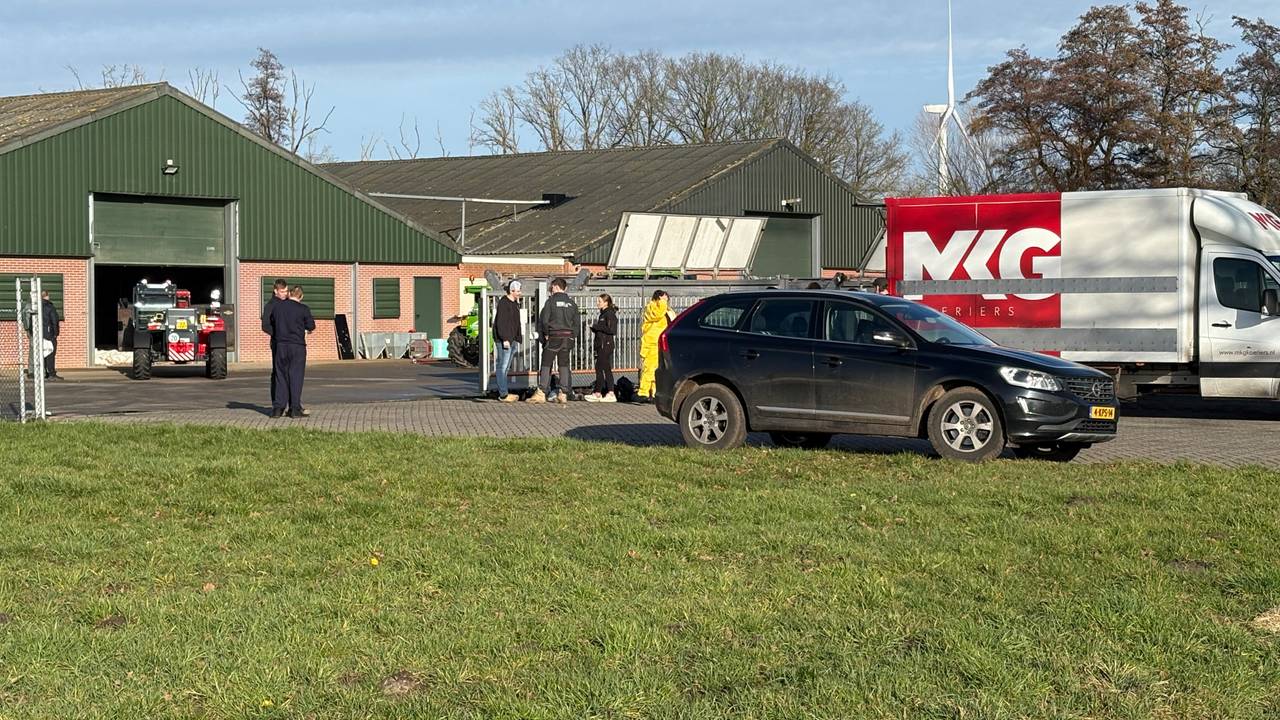 Een kalkoenbedrijf in Moergestel is getroffen door vogelgriep (foto: Omroep Brabant).