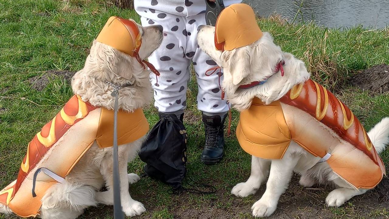 Foto: Reinier Thoen/Facebook