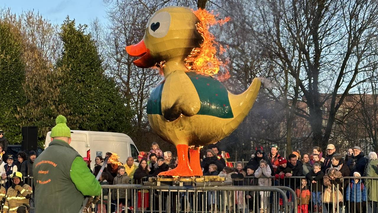 Eendje in de fik (foto: Floortje Steigenga).