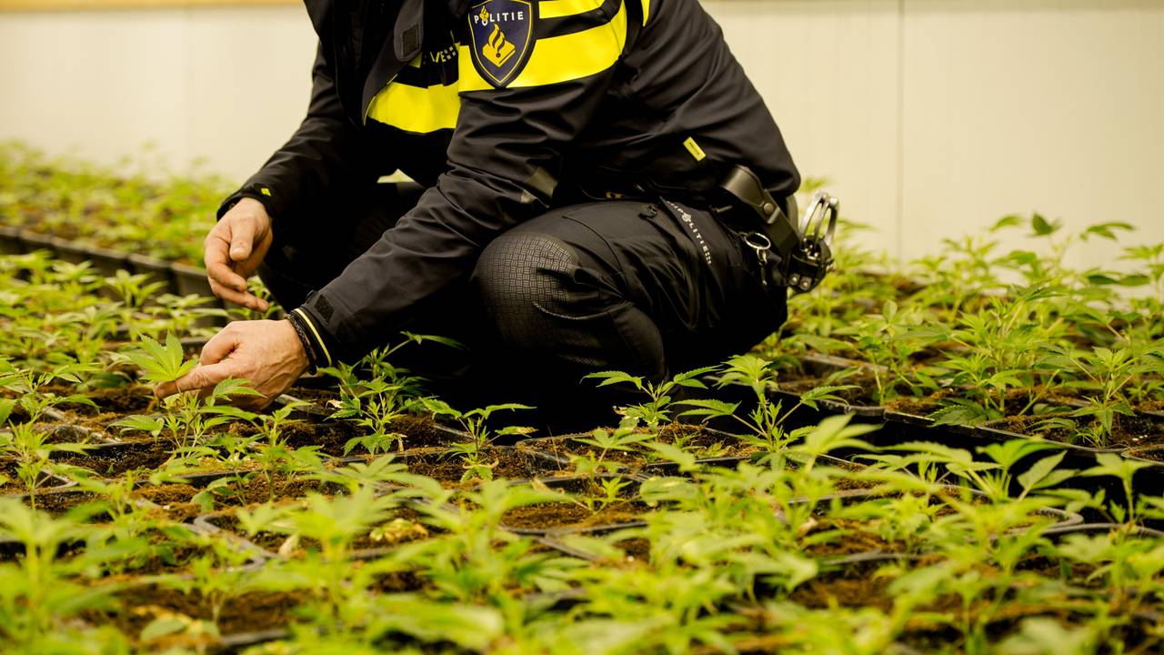 Archieffoto: Robin van Lonkhuysen/ANP.