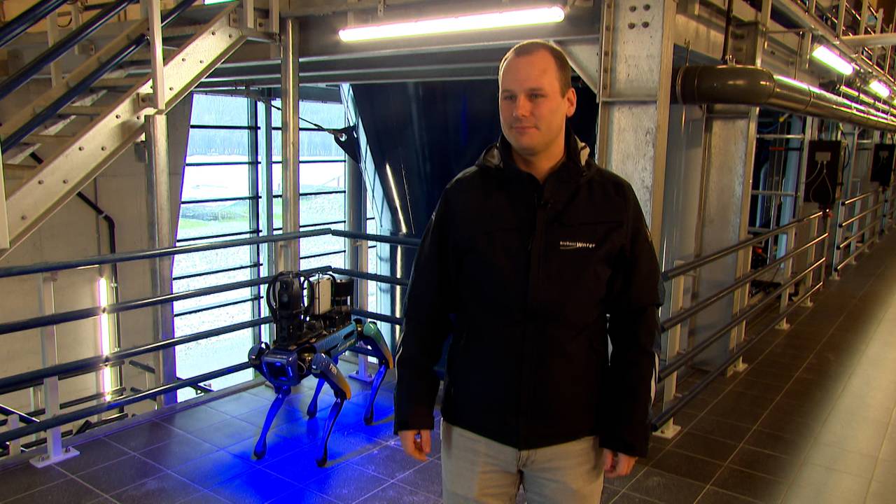 WEB_HOR_ROBOTHOND_FIEN