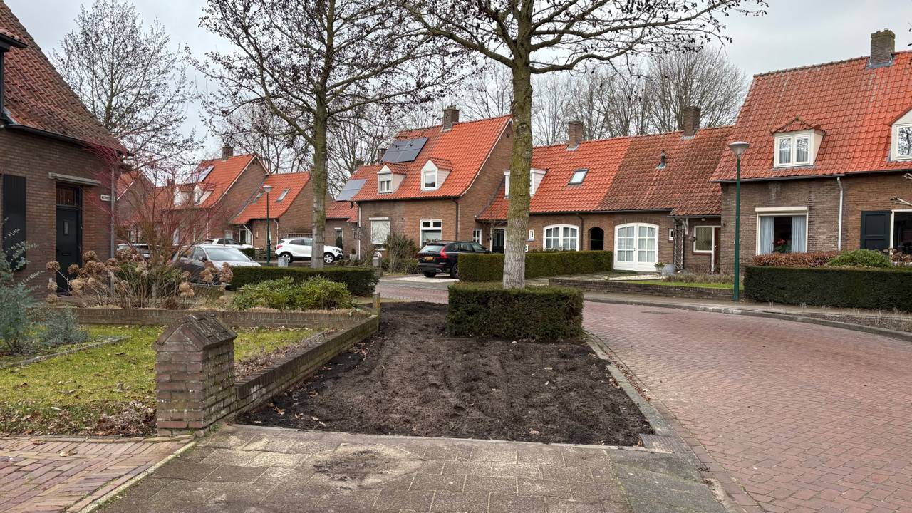 Een van de stoepdelen die vervangen is door een groenperkje