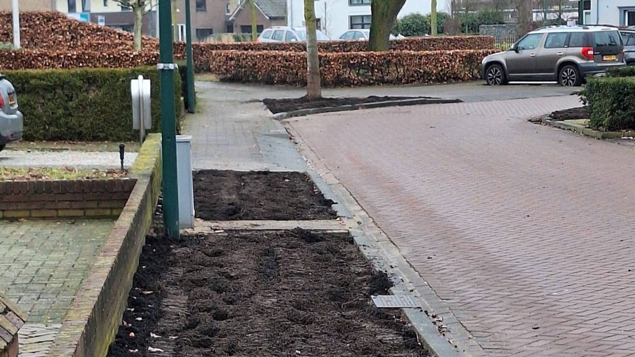 Enkele van de betwiste groenstroken in Heesch (foto: DTV Nieuws).