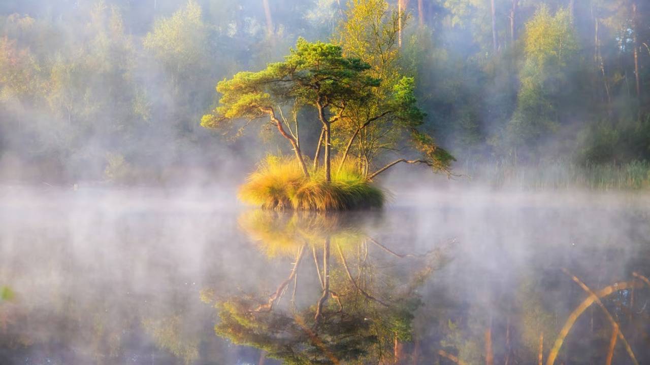Een Oisterwijks ven (foto: Natuurmonumenten).
