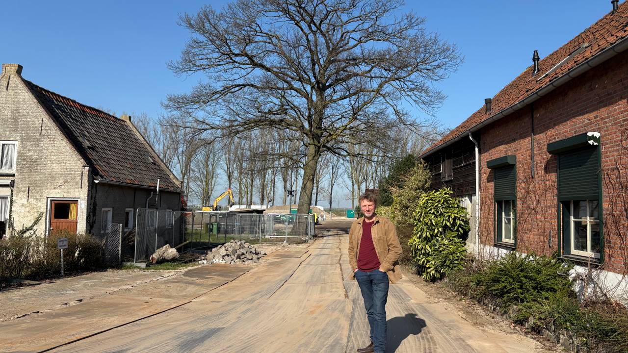 Strijd voor 170 jaar oude boom gaat door: 1000 handtekeningen