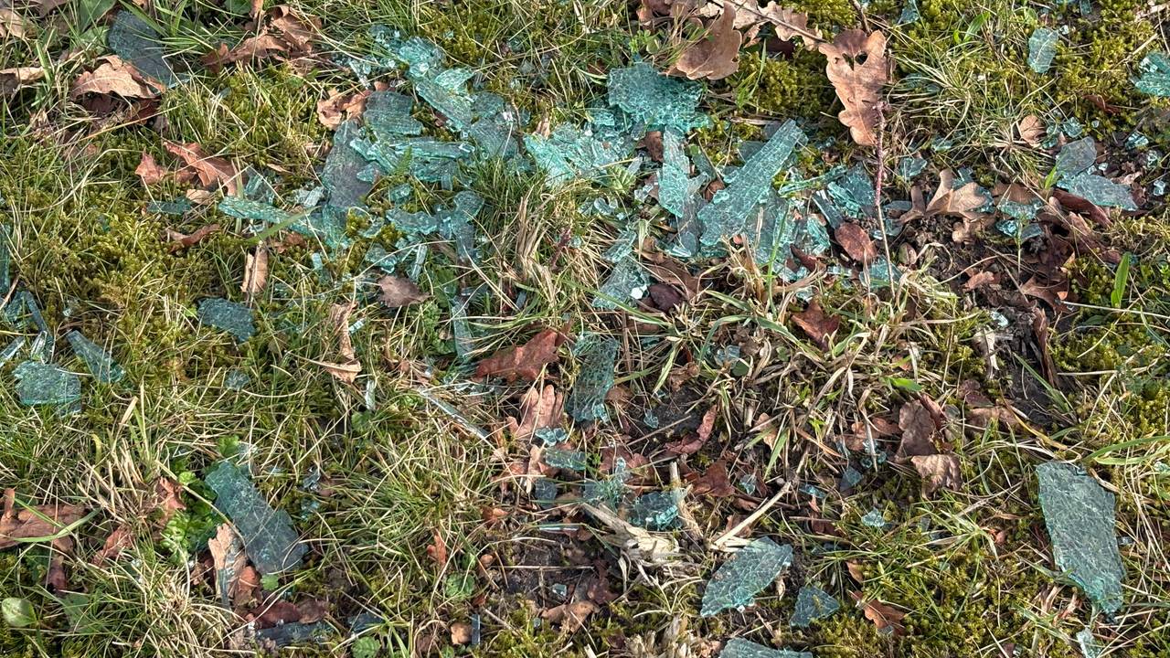 Flink wat scherven (foto: Raymond Merkx).