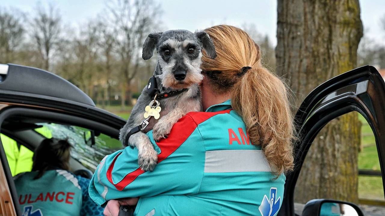 WEB_112_DOEDEL_BOTST