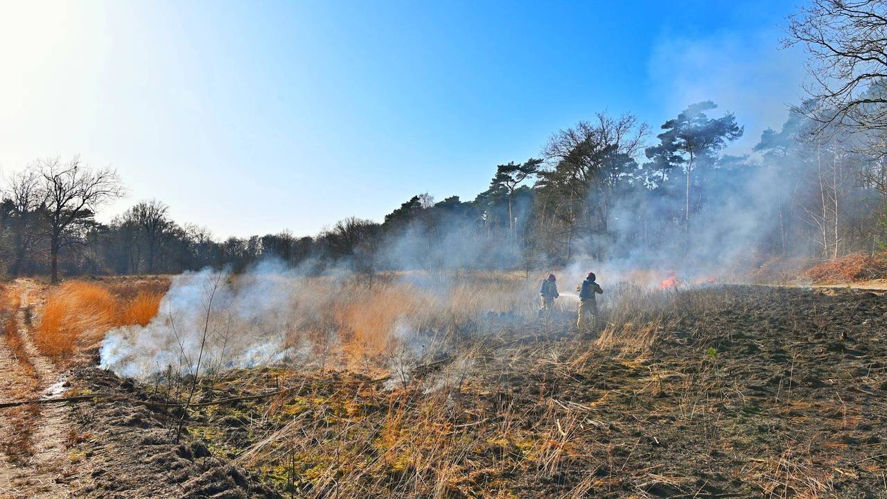 De brandweer had het vuur in het bosgebied in Valkenswaard snel onder controle (foto: Rico Vogels/Persbureau Heitink).