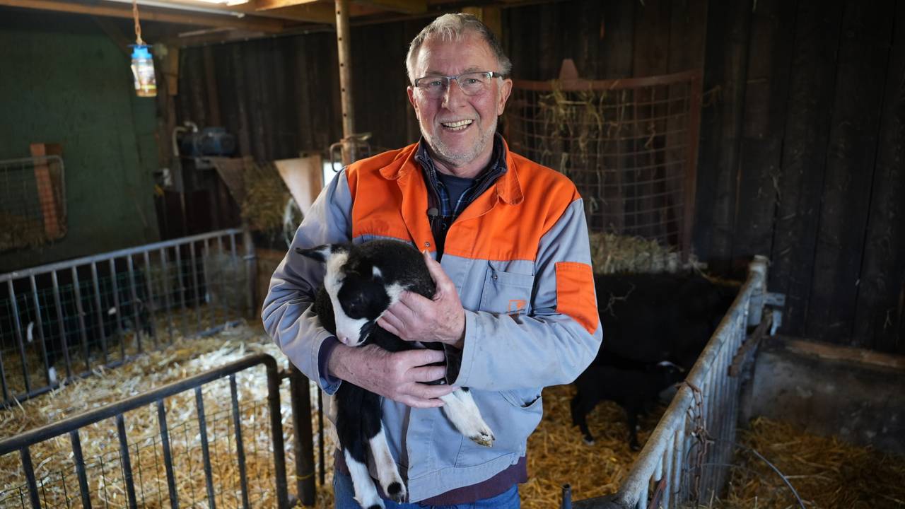Boer Hans schrikt zich lam van vijfling