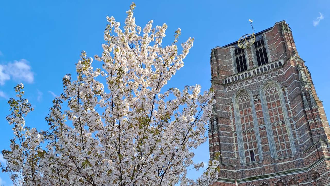 Het dorpsgezicht in Oosterhout (archieffoto).