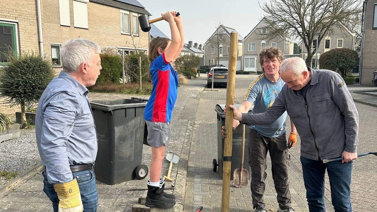 Buurtbewoners van het Lisven in Eindhoven willen meer groen in hun straat, maar de gemeente onderneemt in hun ogen geen actie en dus plantten ze uit protest zelf twee bomen (foto: prive). 