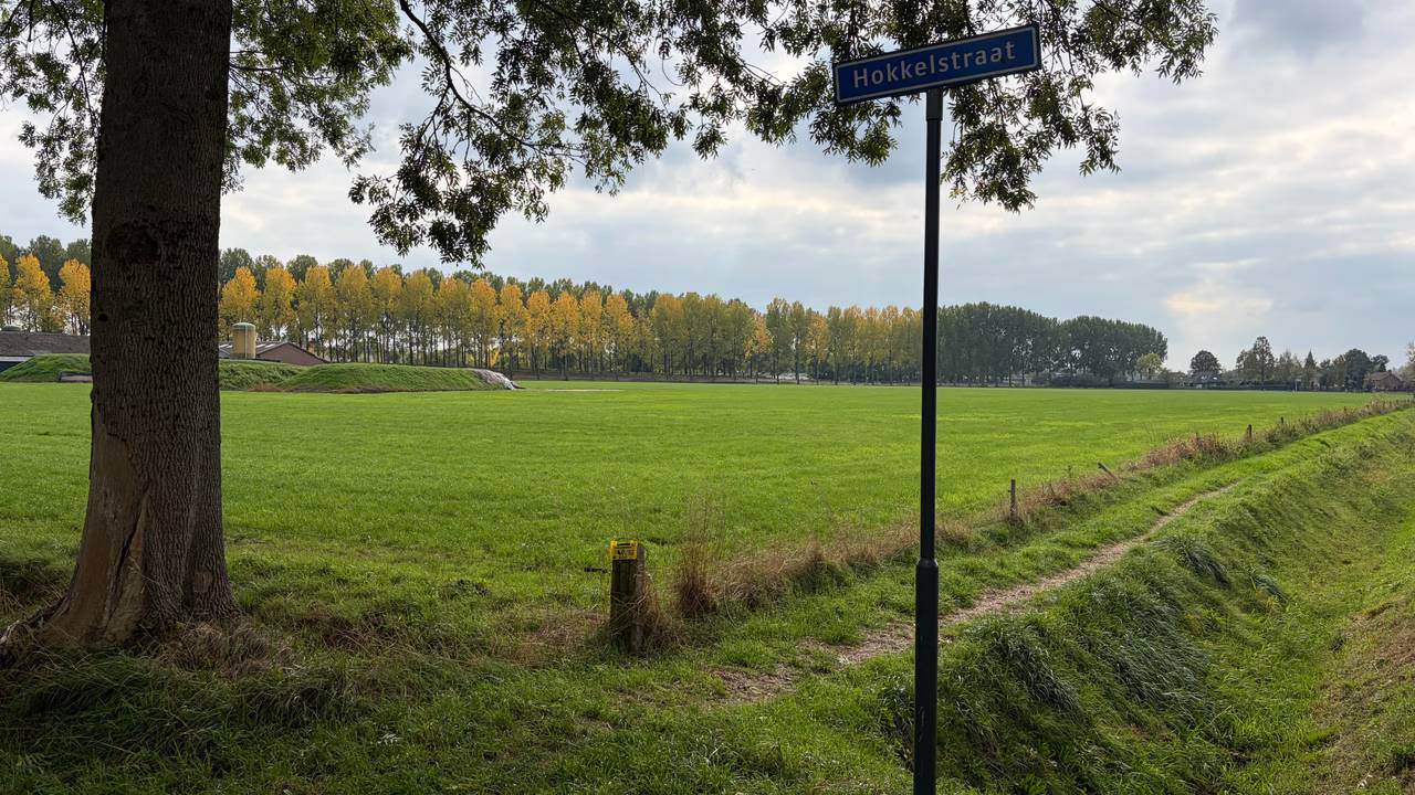 Landbouwgrond Steegsche Velden West in Best (foto: Studio040).
