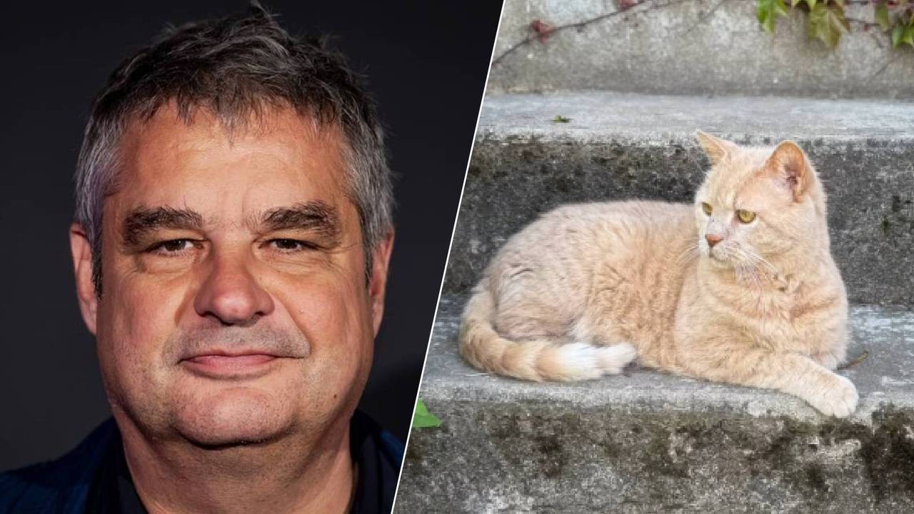 Frank Lammers en zijn kat Woody (foto's: ANP en Eva Posthuma de Boer).