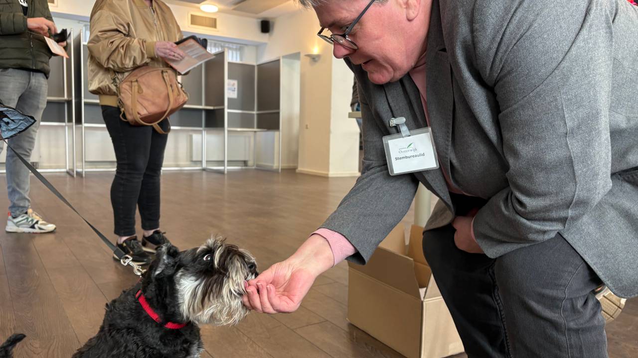 Iedere hond krijgt een koekje bij dit stembureau (foto: Wilco Zonneveld / Omroep Brabant).